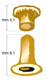 Rivets laitonés - Par 5000