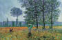 Poster sur toile: Monet: Felder im fruhling 120x90cm