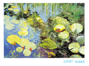 Poster: Saint Alban: Nymphéas à Giverny - 60x80 cm