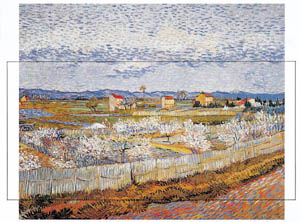 Poster: Van Gogh: Peach Blossoms - 50x100 cm