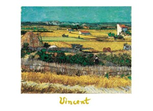 Poster: Van Gogh: Campi - 24x30 cm
