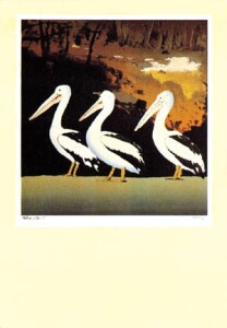Poster: Pelicans - 62x89 cm