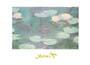 Poster: Monet: Ninfee - 24x30 cm