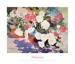 Poster: Peterson: Petunias - 65x76 cm