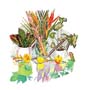 Poster: Aviram: Exotic Flowers - 66x68 cm