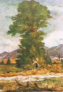 Gravure: Ghedini: L'albero - 50x70 cm