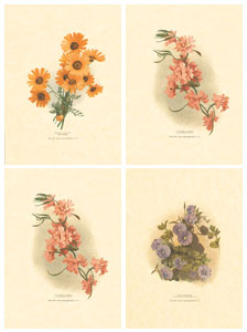 Série de 4 gravures: Fleurs orientales - 13x18 cm