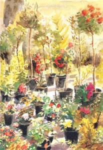 Gravure: Jany: Vasi in Giardino - 50x70 cm