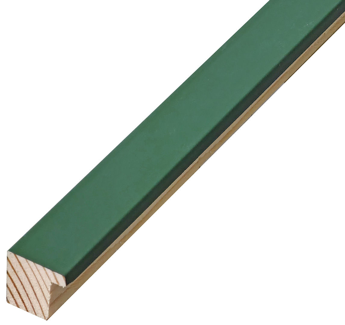 Baguette pin jointé - Largeur 20mm Hauteur 20 - Vert